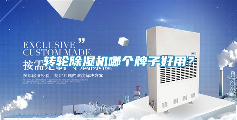 轉輪草莓视频污污污污哪個牌子好用？