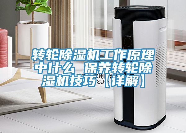 轉輪草莓视频污污污污工作原理中什麽 保養轉輪草莓视频污污污污技巧【詳解】