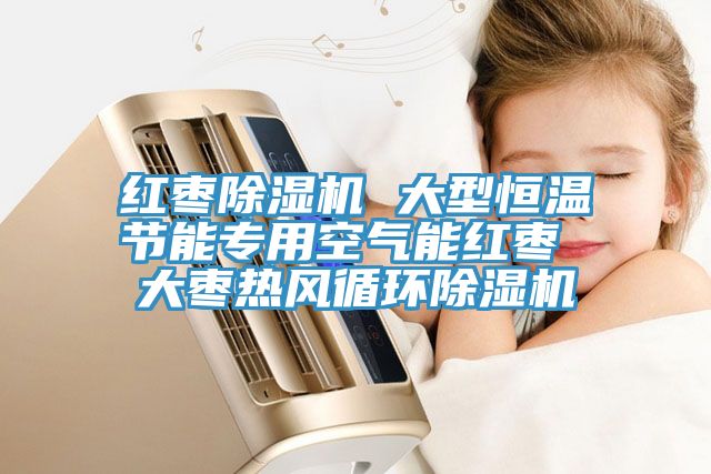 紅棗草莓视频污污污污 大型恒溫節能專用空氣能紅棗 大棗熱風循環草莓视频污污污污