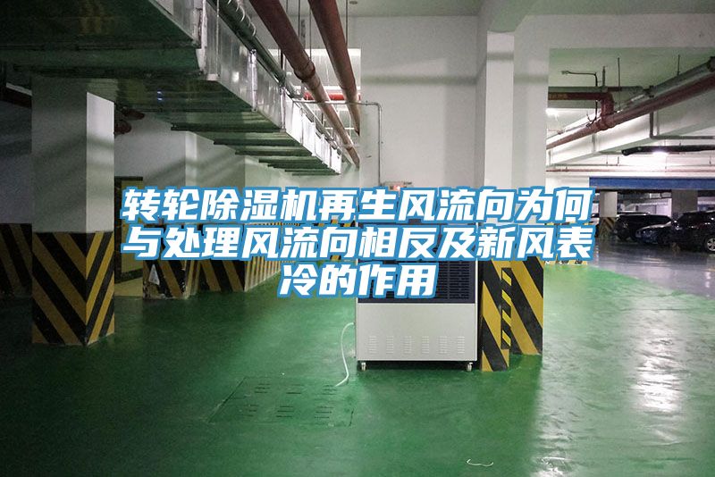 轉輪草莓视频污污污污再生風流向為何與處理風流向相反及新風表冷的作用