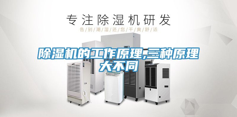 草莓视频污污污污的工作原理,三種原理大不同
