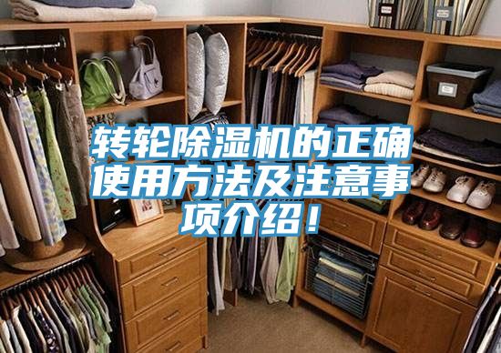 轉輪草莓视频污污污污的正確使用方法及注意事項介紹！
