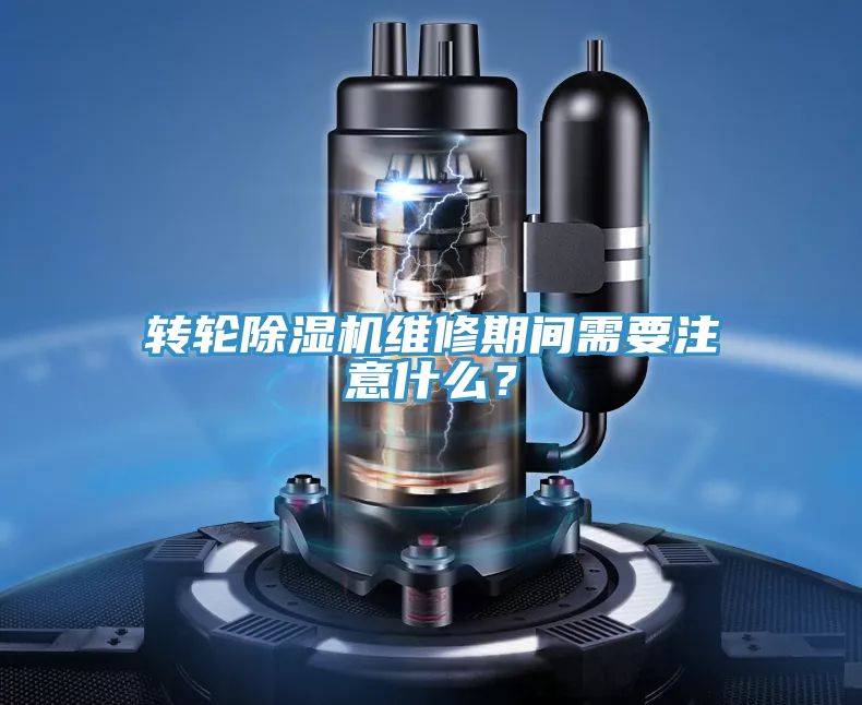 轉輪草莓视频污污污污維修期間需要注意什麽？