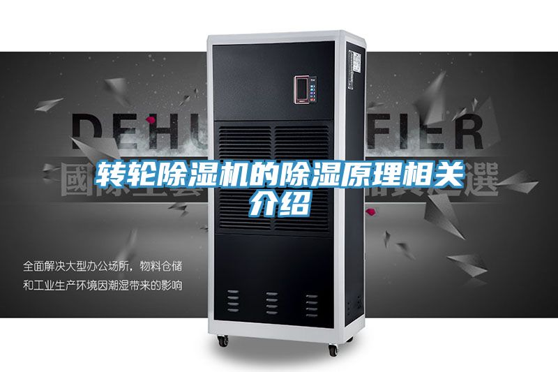 轉輪草莓视频污污污污的除濕原理相關介紹