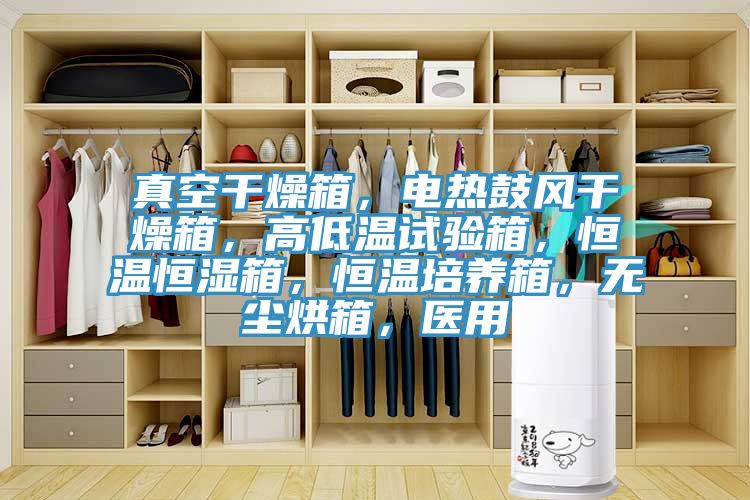 真空幹燥箱，電熱鼓風幹燥箱，高低溫試驗箱，恒溫恒濕箱，恒溫培養箱，無塵烘箱，醫用