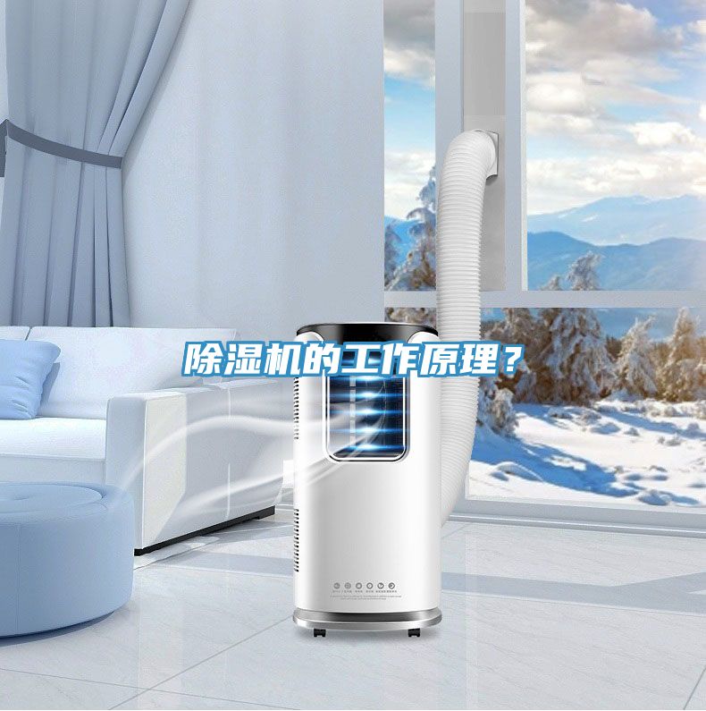 草莓视频污污污污的工作原理？