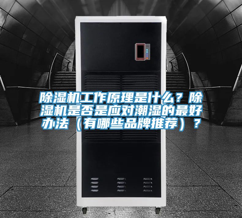 草莓视频污污污污工作原理是什麽？草莓视频污污污污是否是應對潮濕的最好辦法（有哪些品牌推薦）？