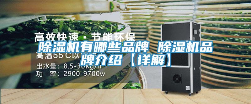 草莓视频污污污污有哪些品牌 草莓视频污污污污品牌介紹【詳解】