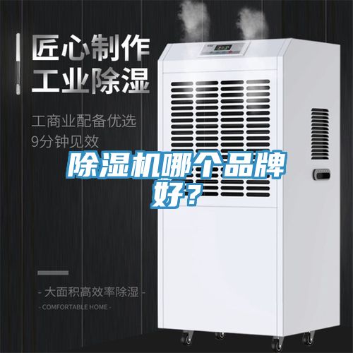 草莓视频污污污污哪個品牌好？