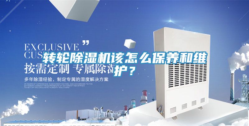 轉輪草莓视频污污污污該怎麽保養和維護？