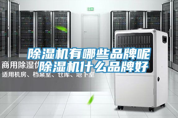 草莓视频污污污污有哪些品牌呢 草莓视频污污污污什麽品牌好