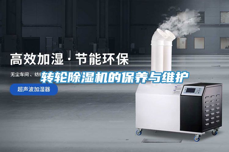 轉輪草莓视频污污污污的保養與維護