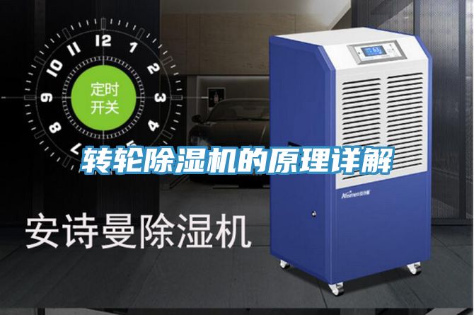 轉輪草莓视频污污污污的原理詳解