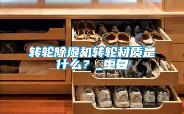轉輪草莓视频污污污污轉輪材質是什麽？_重複