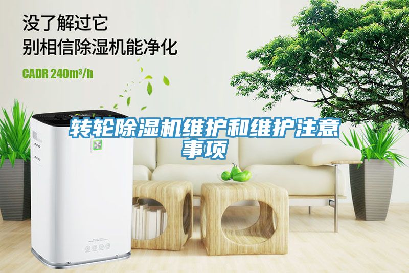 轉輪草莓视频污污污污維護和維護注意事項