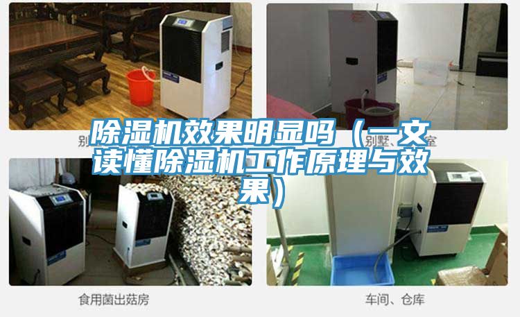 草莓视频污污污污效果明顯嗎（一文讀懂草莓视频污污污污工作原理與效果）