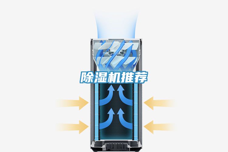 草莓视频污污污污推薦