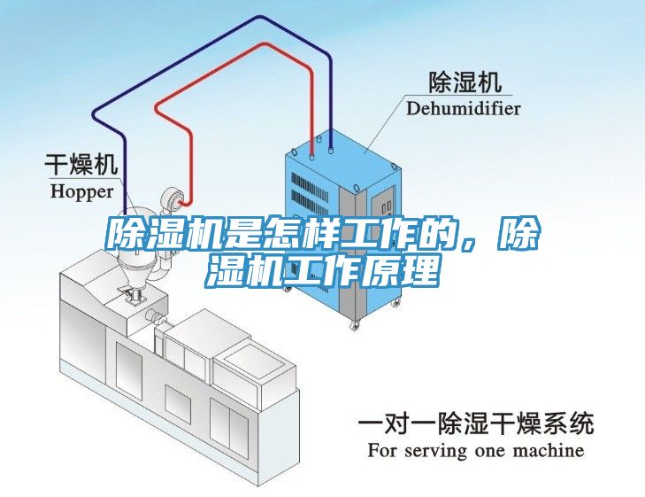 草莓视频污污污污是怎樣工作的，草莓视频污污污污工作原理
