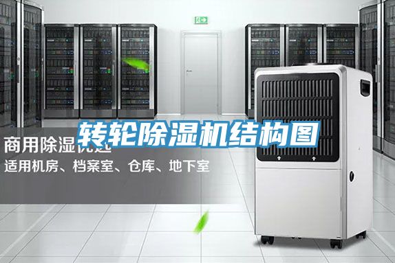 轉輪草莓视频污污污污結構圖