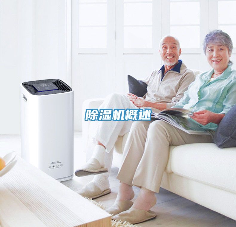 草莓视频污污污污概述