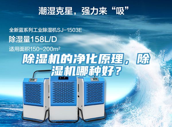 草莓视频污污污污的淨化原理，草莓视频污污污污哪種好？