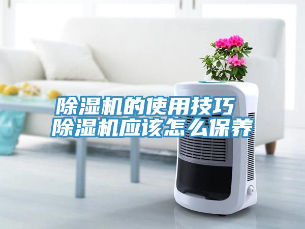 草莓视频污污污污的使用技巧 草莓视频污污污污應該怎麽保養
