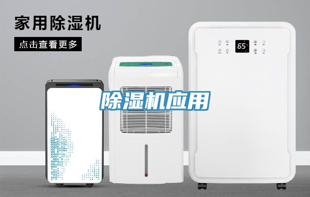 草莓视频污污污污應用