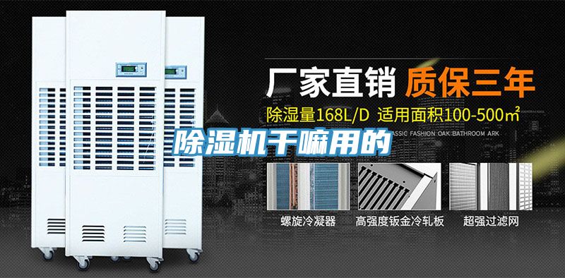 草莓视频污污污污幹嘛用的
