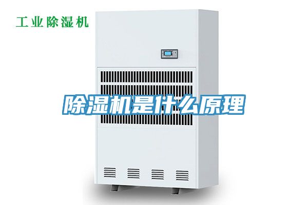 草莓视频污污污污是什麽原理