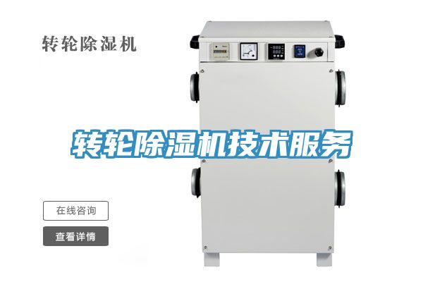 轉輪草莓视频污污污污技術服務