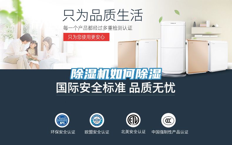 草莓视频污污污污如何除濕