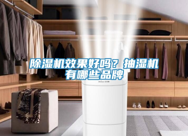 草莓视频污污污污效果好嗎？抽濕機有哪些品牌