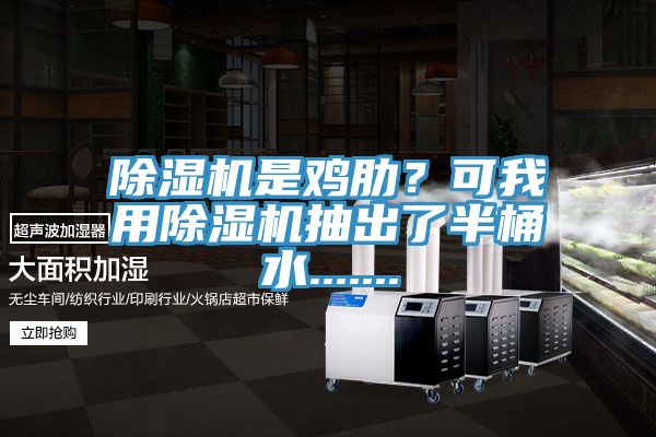 草莓视频污污污污是雞肋？可我用草莓视频污污污污抽出了半桶水.......