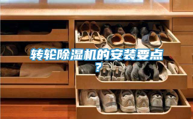 轉輪草莓视频污污污污的安裝要點？