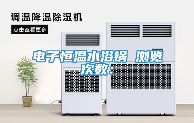 電子恒溫水浴鍋　　瀏覽次數：