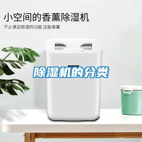 草莓视频污污污污的分類