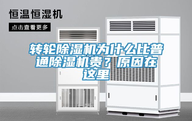 轉輪草莓视频污污污污為什麽比普通草莓视频污污污污貴？原因在這裏