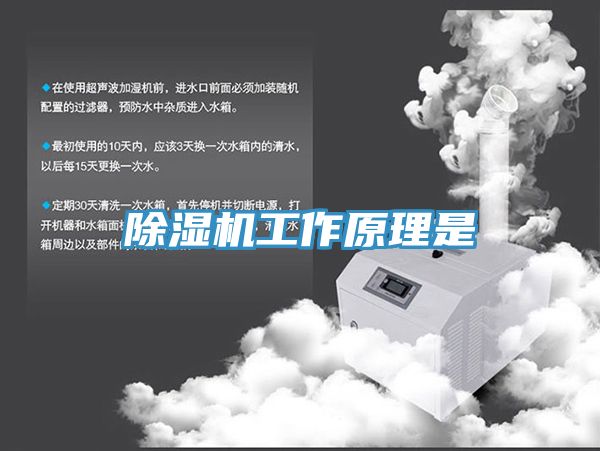 草莓视频污污污污工作原理是