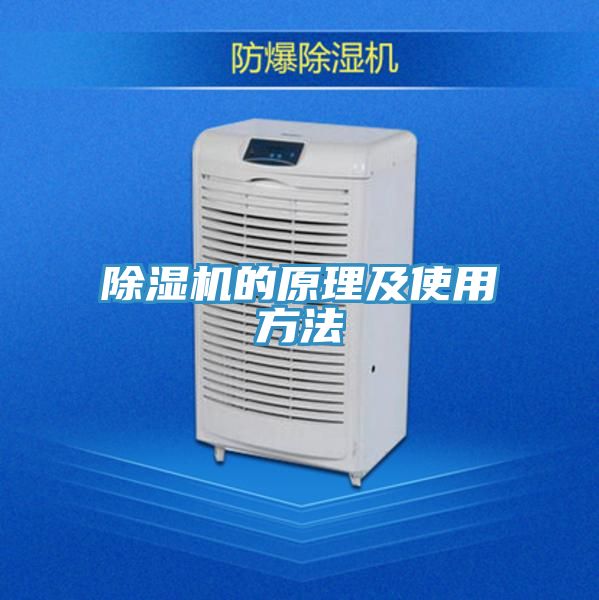草莓视频污污污污的原理及使用方法
