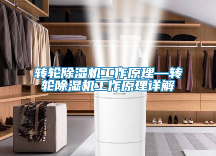 轉輪草莓视频污污污污工作原理—轉輪草莓视频污污污污工作原理詳解