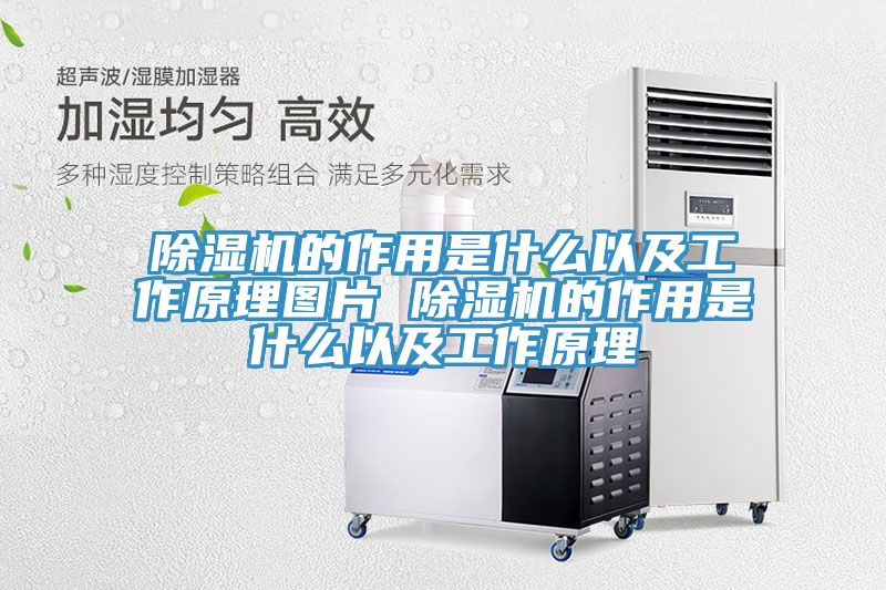 草莓视频污污污污的作用是什麽以及工作原理圖片 草莓视频污污污污的作用是什麽以及工作原理