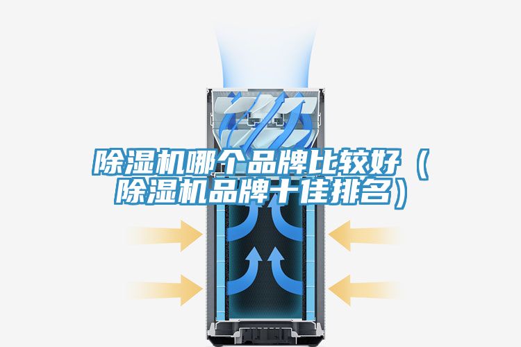 草莓视频污污污污哪個品牌比較好（草莓视频污污污污品牌十佳排名）