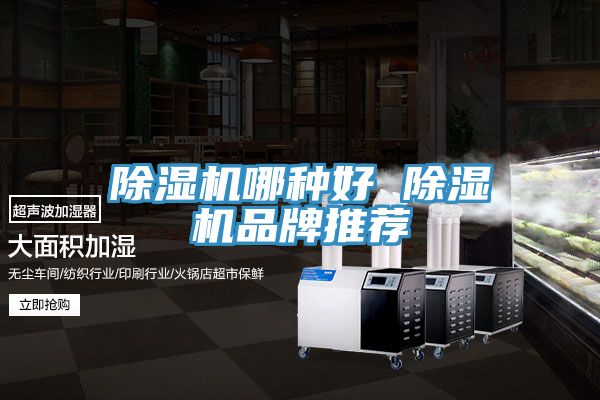 草莓视频污污污污哪種好 草莓视频污污污污品牌推薦