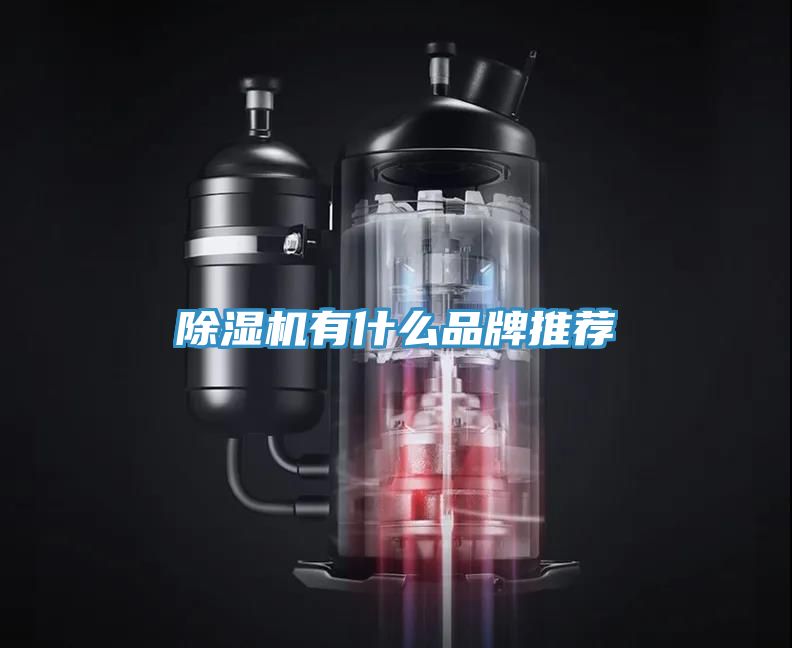 草莓视频污污污污有什麽品牌推薦