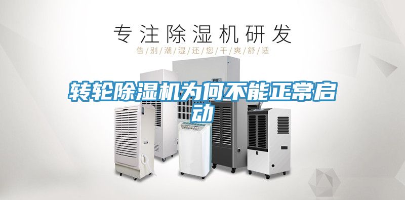 轉輪草莓视频污污污污為何不能正常啟動