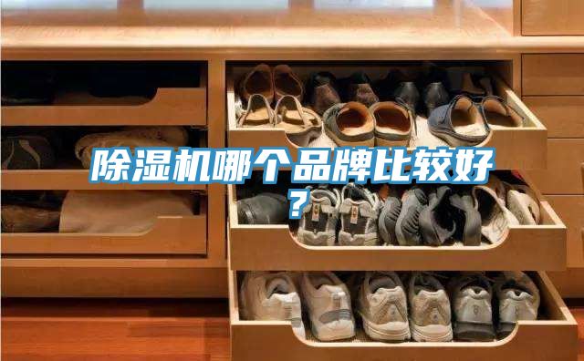 草莓视频污污污污哪個品牌比較好？