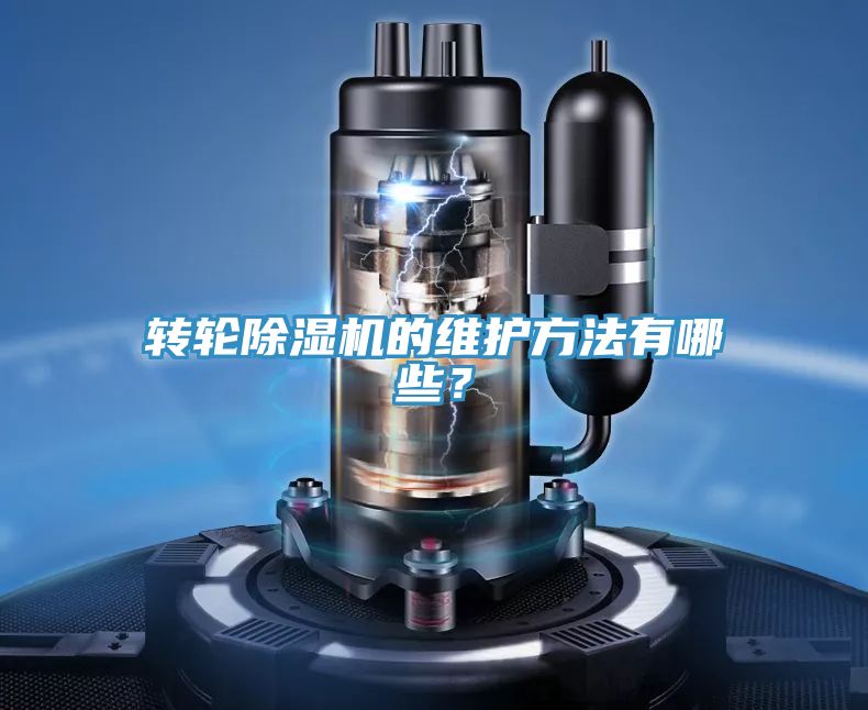 轉輪草莓视频污污污污的維護方法有哪些？