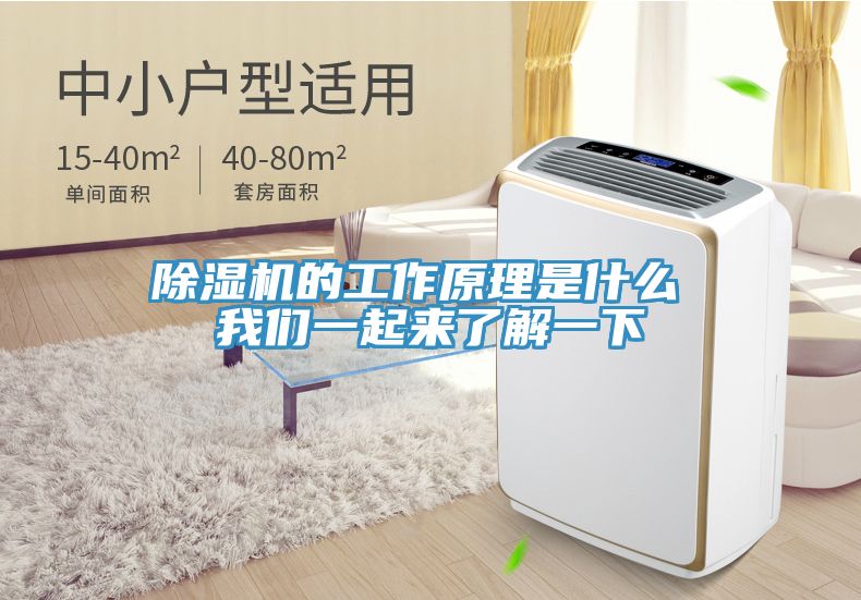 草莓视频污污污污的工作原理是什麽 草莓视频黄污下载一起來了解一下