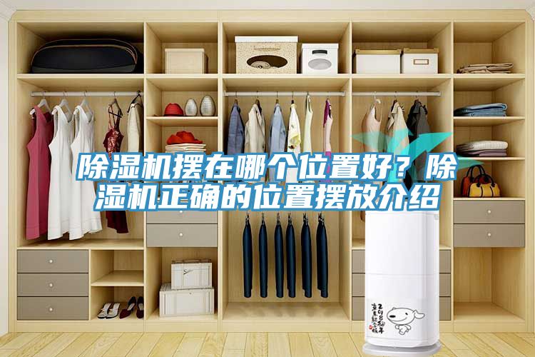 草莓视频污污污污擺在哪個位置好？草莓视频污污污污正確的位置擺放介紹