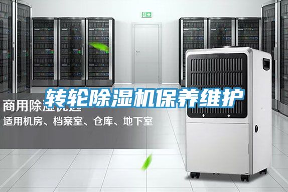 轉輪草莓视频污污污污保養維護